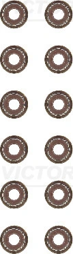 Seal Set, valve stem